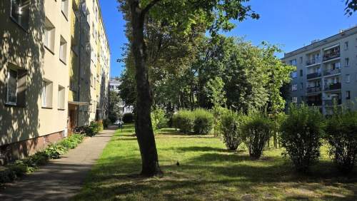 2 pokoje, balkon, parter-obok Hanza, po remoncie
