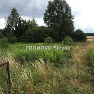 Rościsławice.Działka 1266 m .8 min od Obornik Śl.