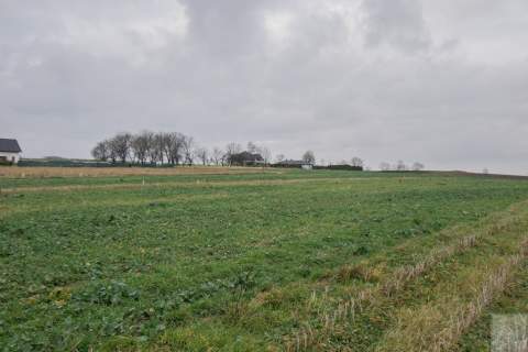 Działki z MPZP w Morawsku