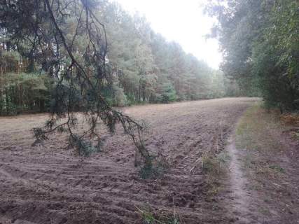 Działka budowlana w Sobieniu