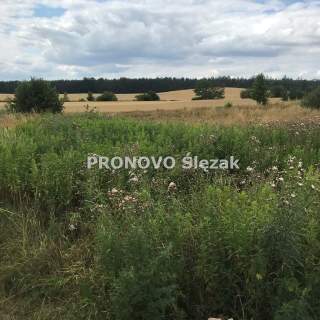Rościsławice.Działka 1266 m .8 min od Obornik Śl.