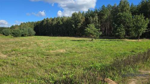 Dargikowo - działka pod lasem - 45 km od morza - n