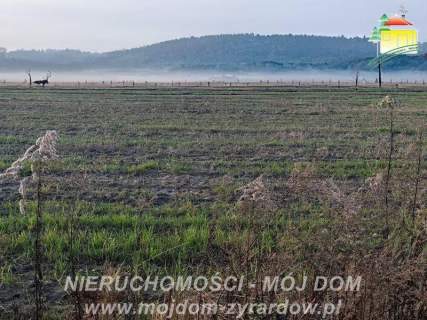Kilka ładnych działek budowlanych w Korytowie.