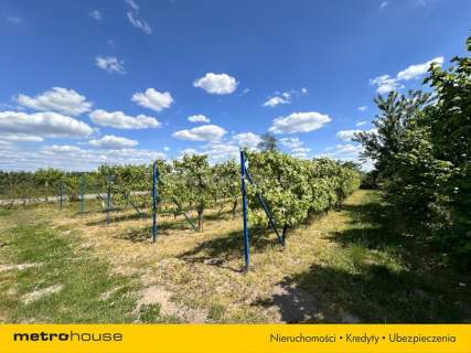 Gospodarstwo 16 348m2 przy trasie S7