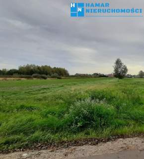 Pęcice Małe - zielona okolica