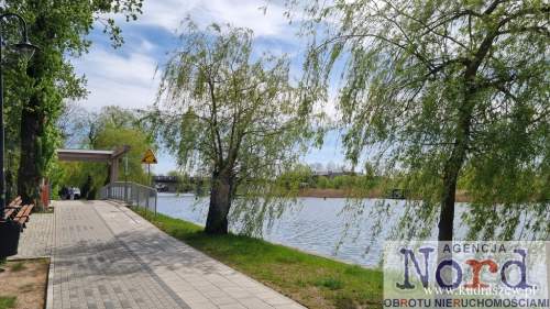 Działka inwestycyjna nad rzeką Netta