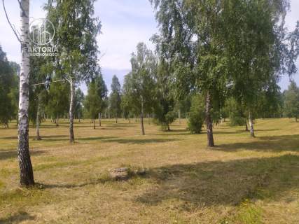 Działka budowlana nad Jeziorem Drwęckim