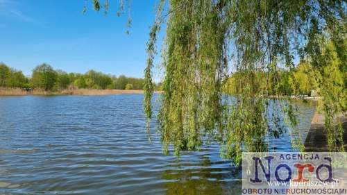 Działka inwestycyjna nad rzeką Netta