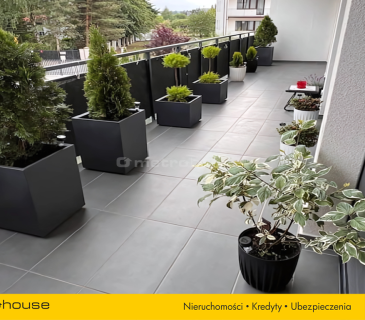 Lokal Premium 320 cm Gabinet / Kancelaria