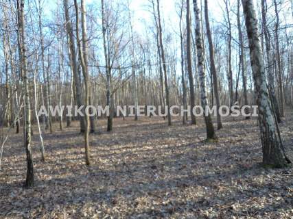 Działka budowlana na sprzedaż, 4200 m2, Milanówek