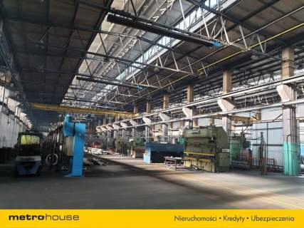 Nieruchomość komercyjna na sprzedaż, 8800 m2, Szczekociny