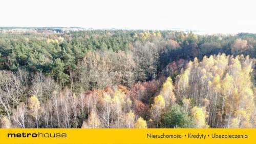 Działka budowlana na sprzedaż, 4800 m2, Wola Wodyńska
