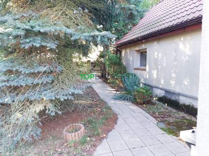 Atrakcyjna działka z domem, 700 m do Narwi