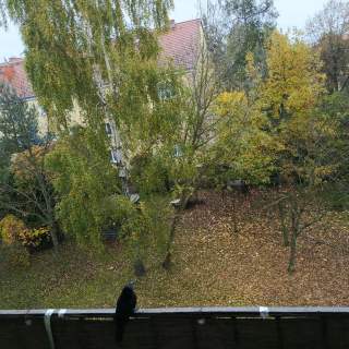 Mieszkanie na sprzedaż.DoNegocjacji Do lekkiego odświeżenia