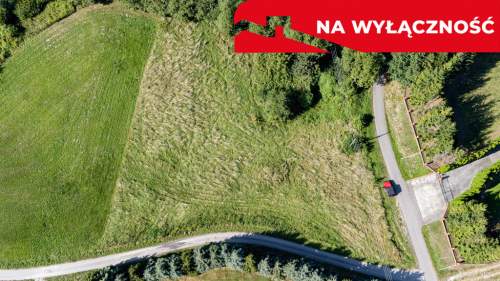 Na sprzedaż działka idealna pod winnice