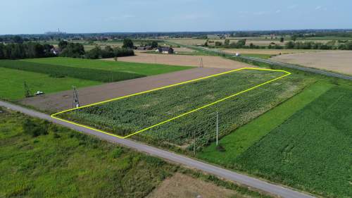 Działka budowlana 55,64 ar, Kliszów k. Mielca, WZ na 4 domy