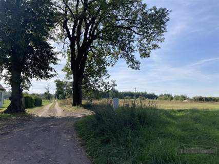 Wyszomierz - działka budowlana - na raty - 8 km od
