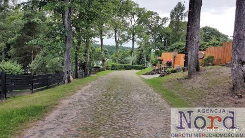 Piękne Mazury jezioro Ułówki, las, linia brzegowa.