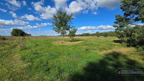 Dargikowo - działka pod lasem - 45 km od morza - n