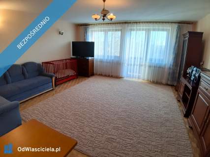 Duży, zadbany, do wprowadzenia