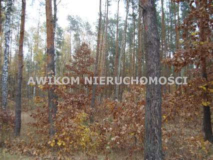 Działka budowlana na sprzedaż, 1568 m2, Ojrzanów