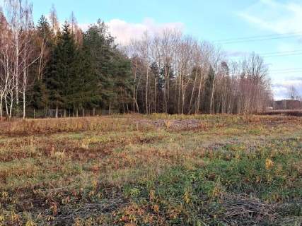 DZIAŁKA BUDOWLANA/Wola Karczewska/3500 m2/Warunki zabudowy na...
