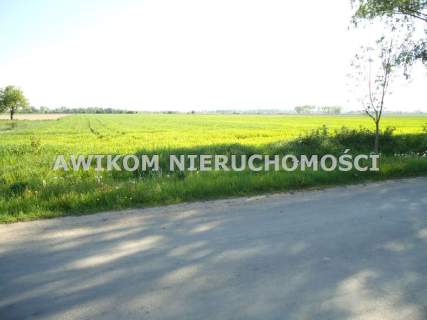 Działka na sprzedaż, 49800 m2, Kłudno Nowe
