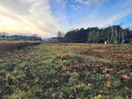 DZIAŁKA BUDOWLANA/Wola Karczewska/3500 m2/Warunki zabudowy na...