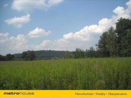 Działka inwestycyjna na sprzedaż, 10900 m2, Skawina