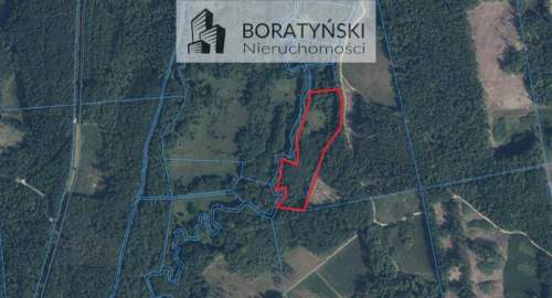 Działka z linią brzegową rzeki Grabowa