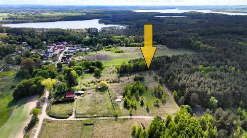 Duża działka w otoczeniu lasu. Drężno.
