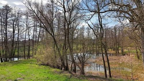 Działka budowlana na sprzedaż, 12200 m2, Przybysławice