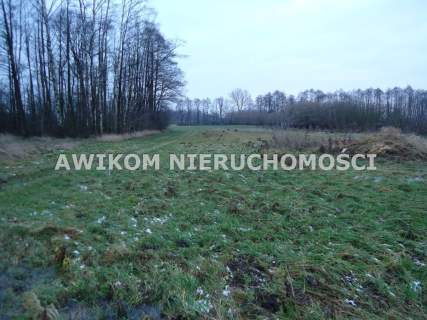 Działka rolna na sprzedaż, 5900 m2, Stanisławów