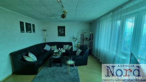 Mieszkanie w centrum miasta