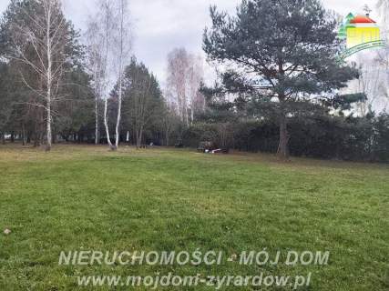 Urocza działka w m. Antoniew, leśna okolica.