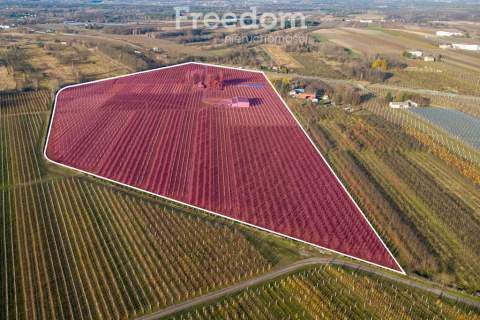 11 ha w Bikówku powiat grójecki