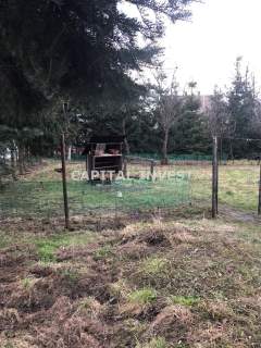 Dom na sprzedaż, 200 m2, Chocznia