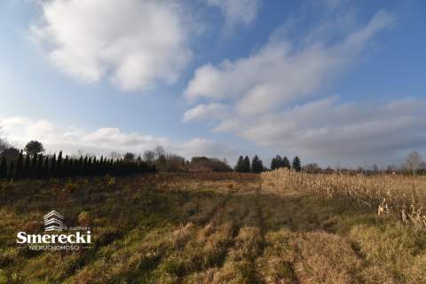 Działka budowlana 3966m2- Okszów-3km od Chełma