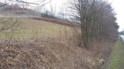 Działka budowlana na sprzedaż, 2500 m2, Tropie
