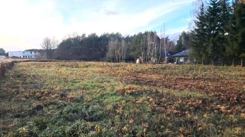 DZIAŁKA BUDOWLANA/Wola Karczewska/3500 m2/Warunki zabudowy na...