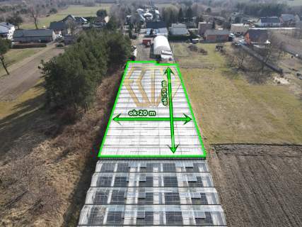 Szklarnia / hala 1000 m do wynajęcia