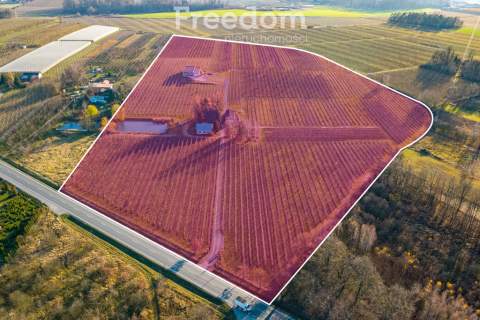 11 ha w Bikówku powiat grójecki