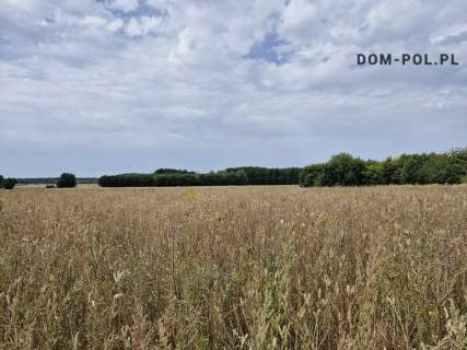 DO SPRZEDAŻY DZIAŁKA ROLNO-LEŚNA