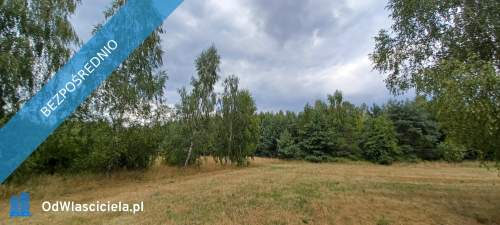 Warszawa/Raszyn/Tarczyn/ Posiadłość 2,1 ha z budynkami.