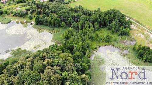 Piękne Mazury jezioro Ułówki, las, linia brzegowa.