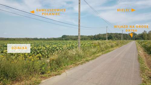 Działka budowlana 55,64 ar, Kliszów k. Mielca, WZ na 4 domy