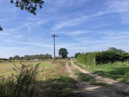 Wyszomierz - działka budowlana - na raty - 8 km od