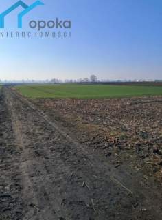 Działka usługowa, Piekary Śląskie