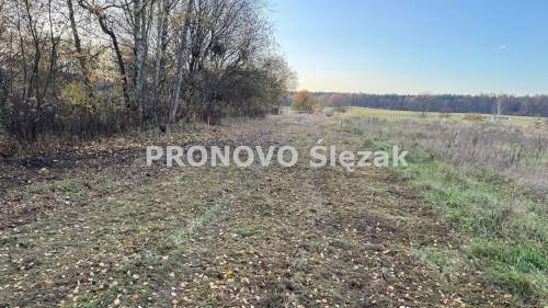 Rościsławice.Działka 1266 m .8 min od Obornik Śl.