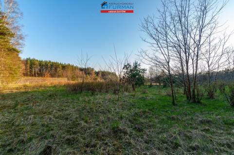 DZIAŁKA 1,09HA NA SPRZEDAŻ, OKONEK